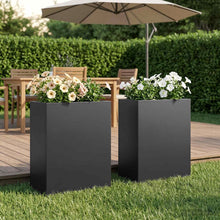 Plantenbak 2 st Zwart 40 x 20 x 40 cm Koudgewalst staal