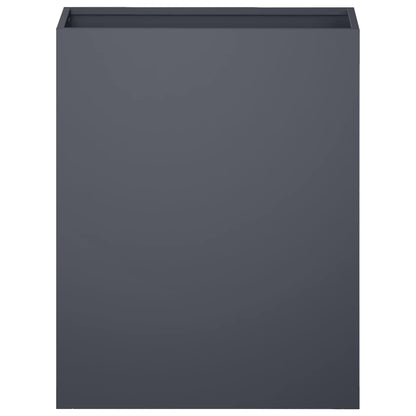 Plantenbak 2 st Antraciet 40 x 20 x 40 cm Koudgewalst staal