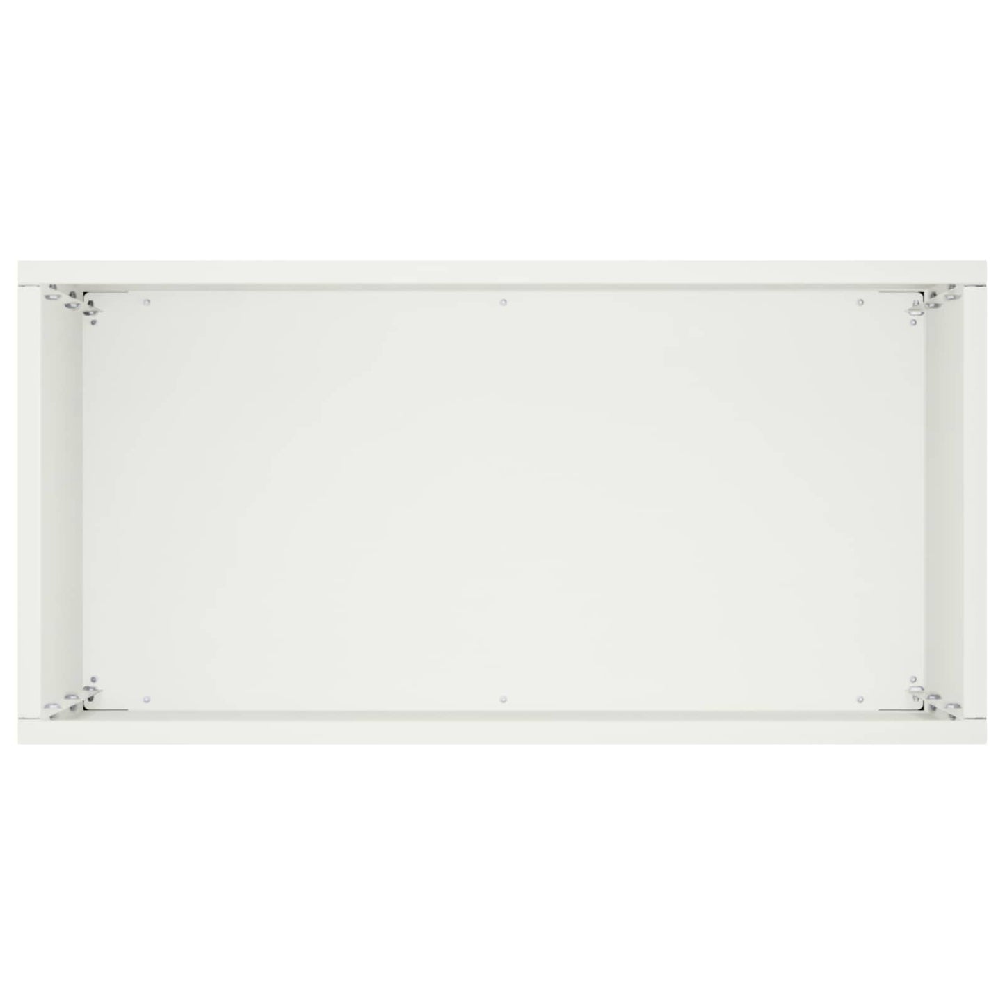 Plantenbak 2 st Wit 40 x 20 x 50 cm Koudgewalst staal