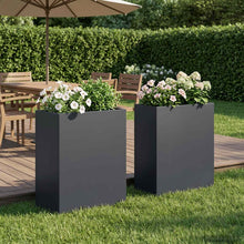 Plantenbak 2 st Antraciet 40 x 20 x 50 cm Koudgewalst staal