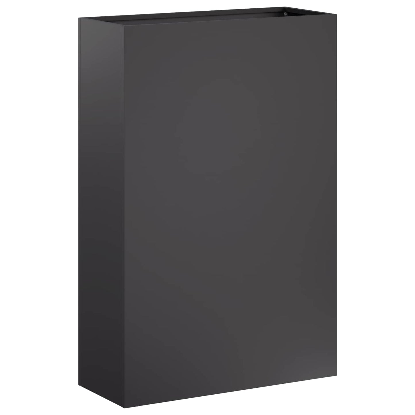 Plantenbak 2 st Zwart 40 x 20 x 75 cm Koudgewalst staal