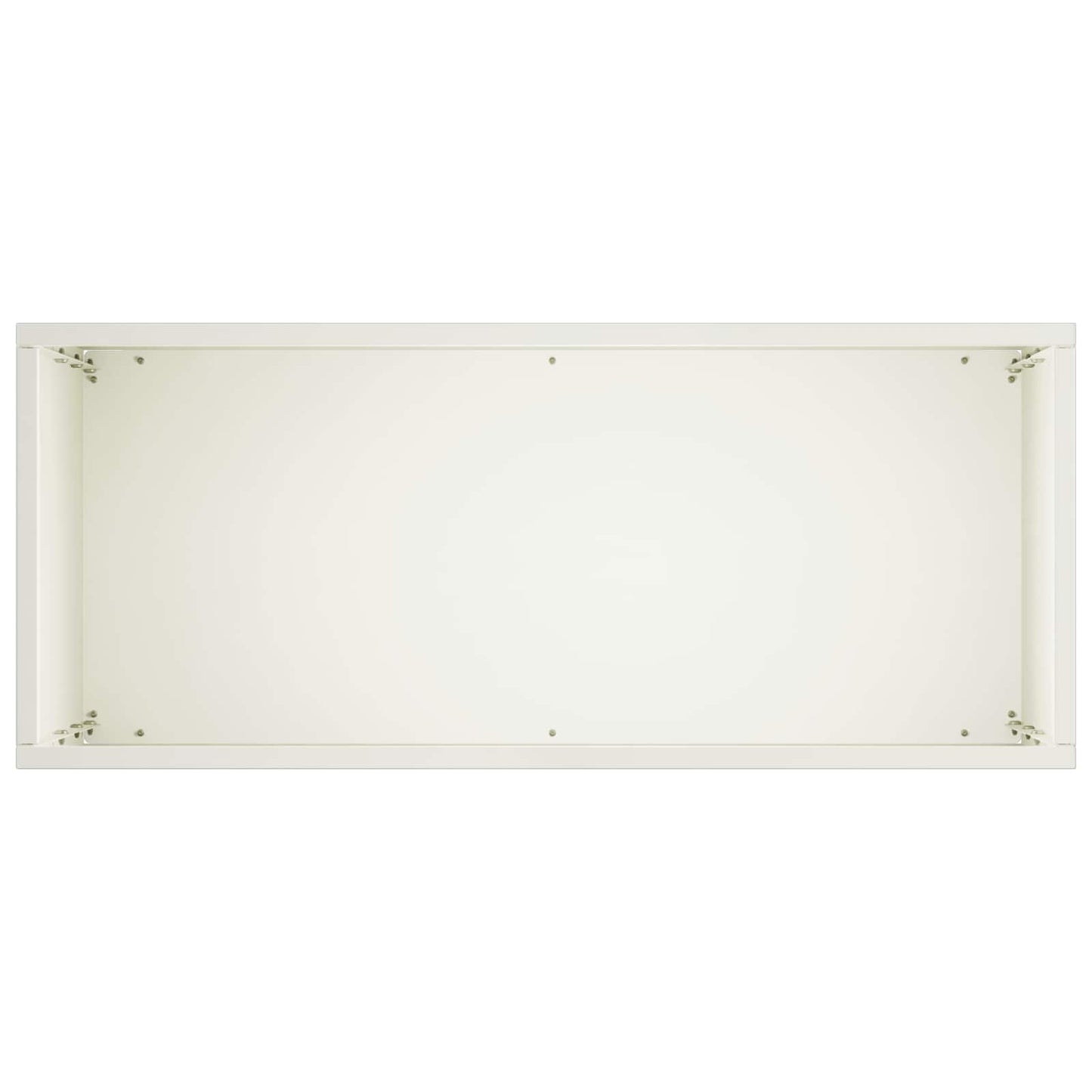 Plantenbak 2 st Wit 40 x 20 x 75 cm Koudgewalst staal