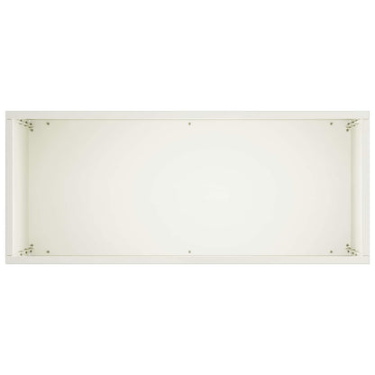 Plantenbak 2 st Wit 40 x 20 x 75 cm Koudgewalst staal