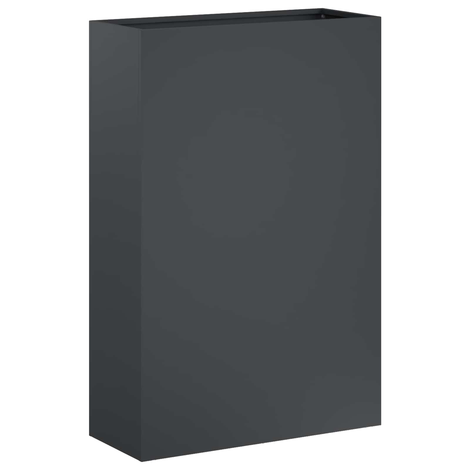 Plantenbak 2 st Antraciet 40 x 20 x 75 cm Koudgewalst staal