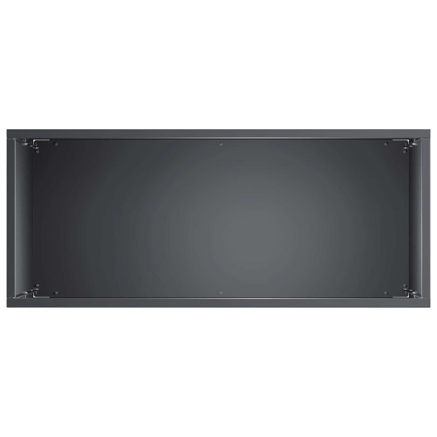 Plantenbak 2 st Antraciet 40 x 20 x 75 cm Koudgewalst staal