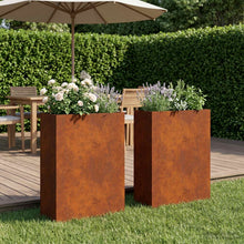 Plantenbak 2 st Roestkleurig 40 x 20 x 75 cm weervast staal