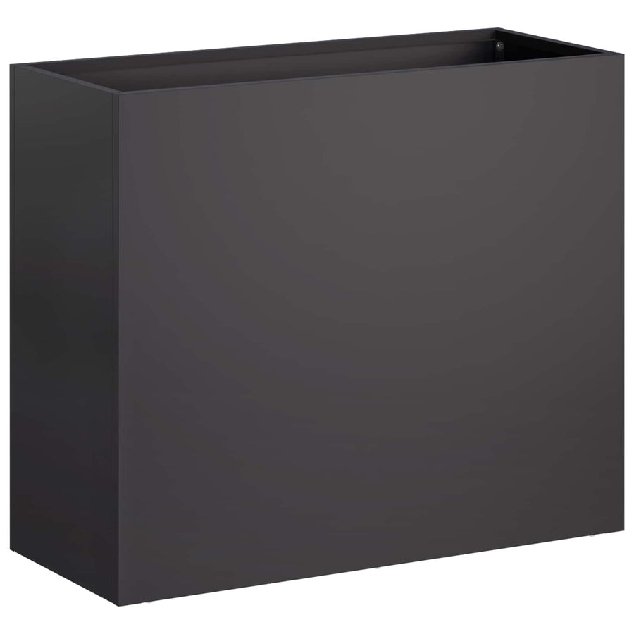 Plantenbak Zwart 50 x 20 x 40 cm Koudgewalst staal