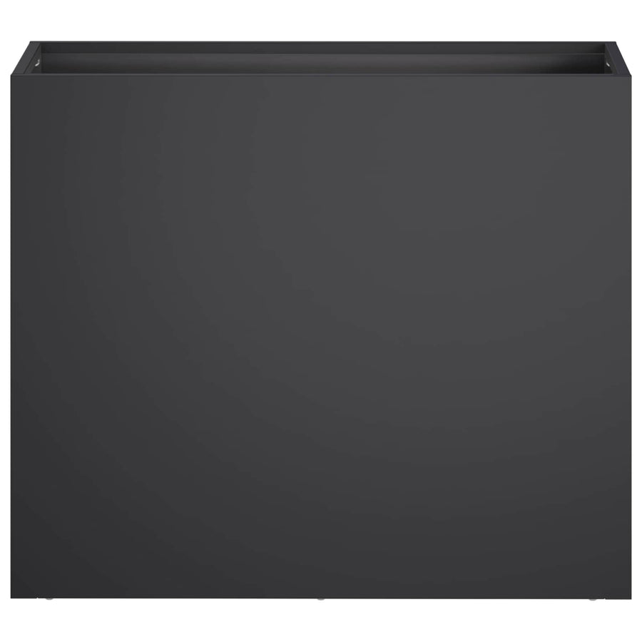 Plantenbak Zwart 50 x 20 x 40 cm Koudgewalst staal