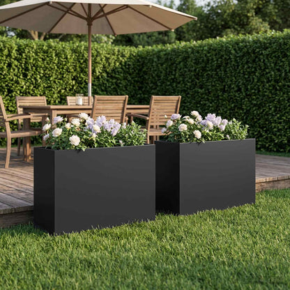 Plantenbak 2 st Zwart 50 x 20 x 40 cm Koudgewalst staal