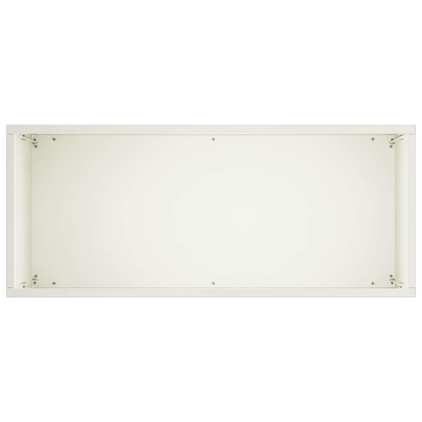 Plantenbak 2 st Wit 50 x 20 x 40 cm Koudgewalst staal