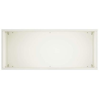 Plantenbak 2 st Wit 50 x 20 x 40 cm Koudgewalst staal