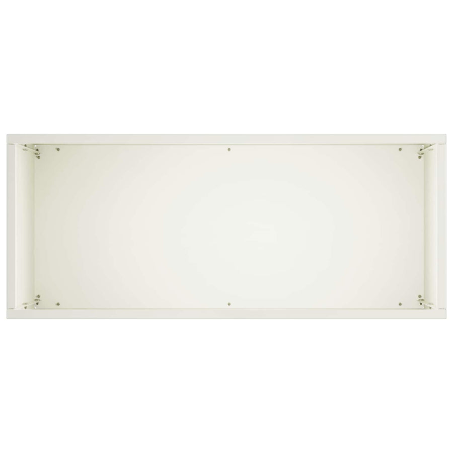 Plantenbak 2 st Wit 50 x 20 x 40 cm Koudgewalst staal