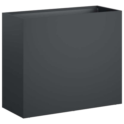 Plantenbak Antraciet 50 x 20 x 40 cm Koudgewalst staal
