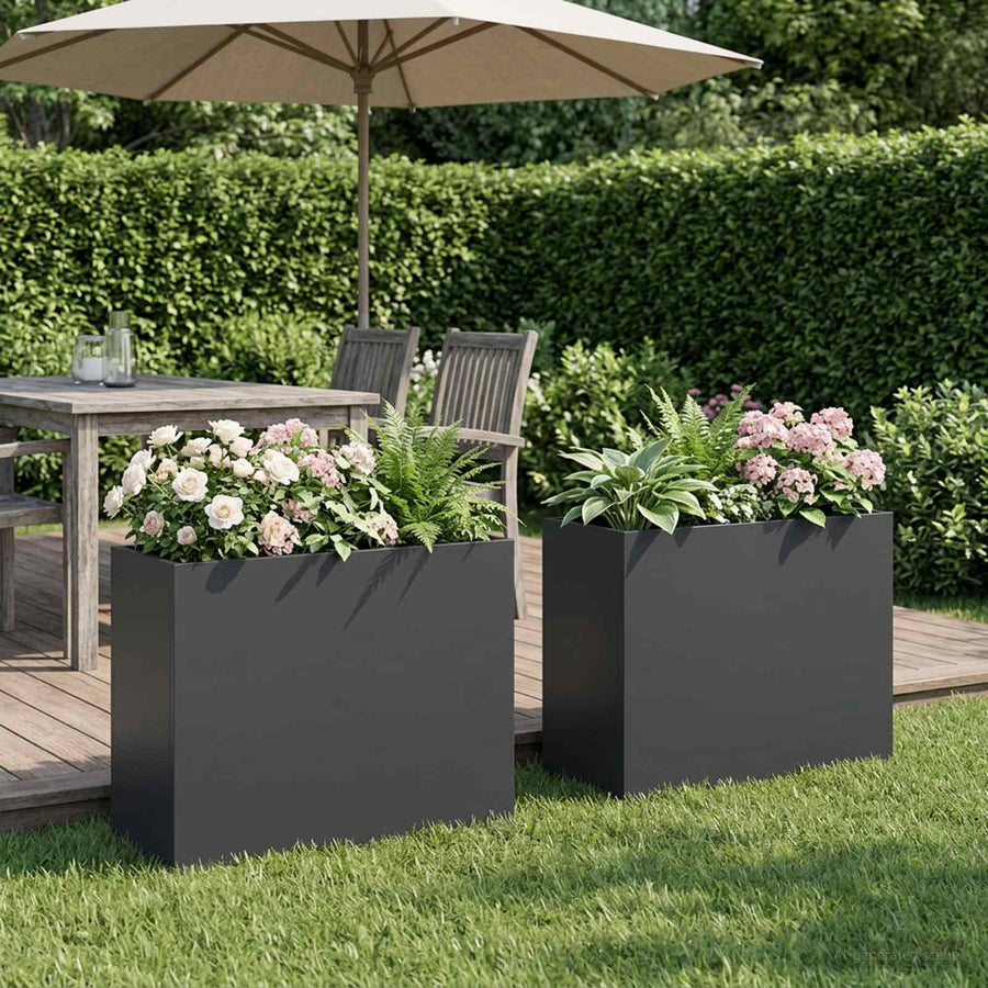Plantenbak 2 st Antraciet 50 x 20 x 40 cm Koudgewalst staal