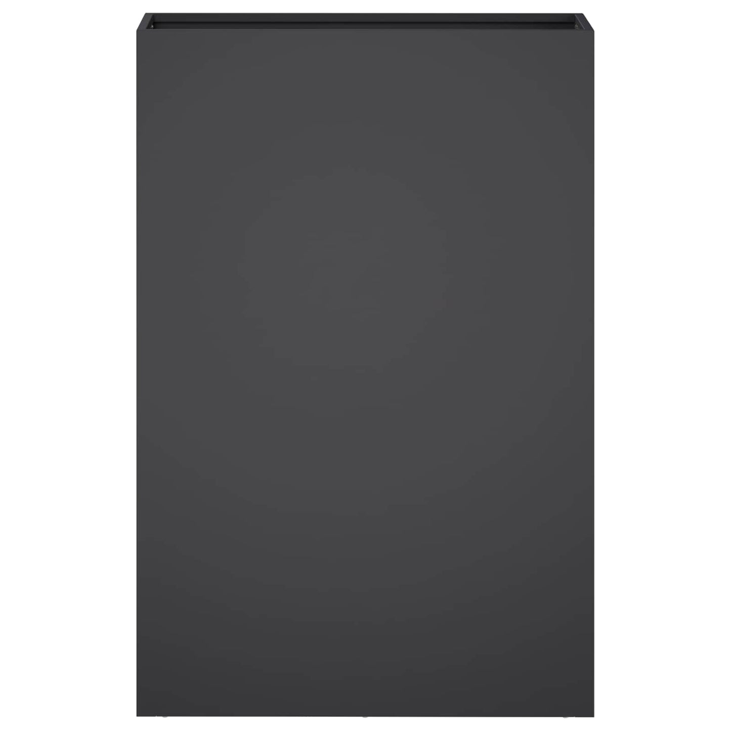 Plantenbak Zwart 50 x 20 x 75 cm Koudgewalst staal