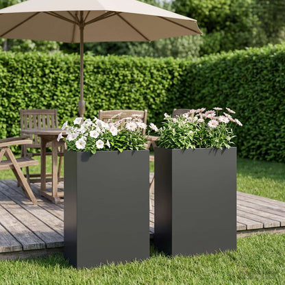 Plantenbak 2 st Zwart 50 x 20 x 75 cm Koudgewalst staal