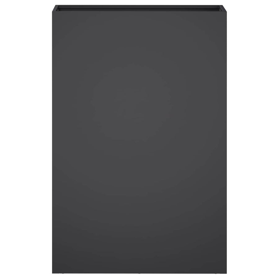Plantenbak 2 st Zwart 50 x 20 x 75 cm Koudgewalst staal