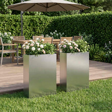 Plantenbak 2 st zilver 50 x 20 x 75 cm Roestvrij staal