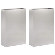 Plantenbak 2 st zilver 50 x 20 x 75 cm Roestvrij staal