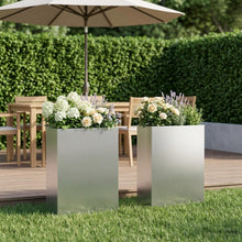 Plantenbak 2 st zilver 50 x 20 x 75 cm Gegalvaniseerd staal