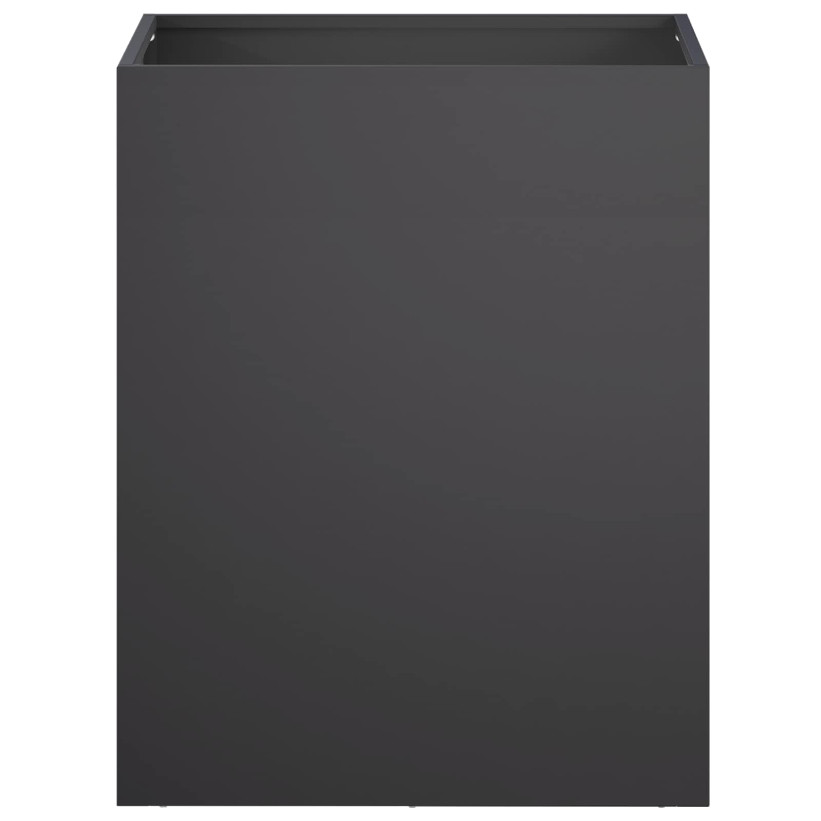 Plantenbak Zwart 40 x 30 x 40 cm Koudgewalst staal