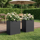 Plantenbak 2 st zwart 40x30x40 cm staal