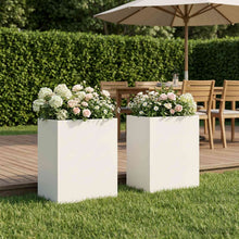 Plantenbak 2 st Wit 40 x 30 x 40 cm Koudgewalst staal