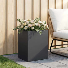 Plantenbak Zwart 40 x 30 x 50 cm Koudgewalst staal