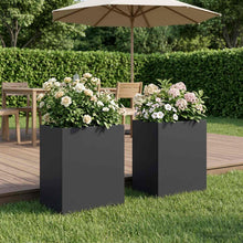 Plantenbak 2 st Zwart 40 x 30 x 50 cm Koudgewalst staal
