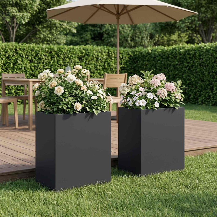 Plantenbak 2 st Zwart 40 x 30 x 50 cm Koudgewalst staal