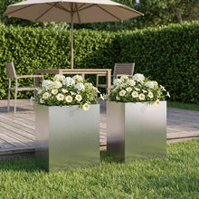 Plantenbak 2 st zilver 40 x 30 x 50 cm Roestvrij staal