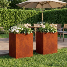 Plantenbak 2 st Roestkleurig 40 x 30 x 50 cm weervast staal