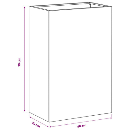 Plantenbak 2 st Antraciet 40 x 30 x 75 cm Koudgewalst staal