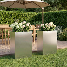 Plantenbak 2 st zilver 40 x 30 x 75 cm Roestvrij staal