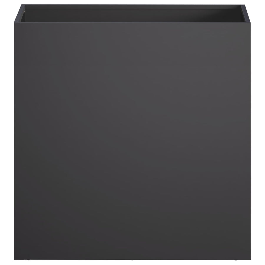 Plantenbak Zwart 50 x 30 x 40 cm Koudgewalst staal
