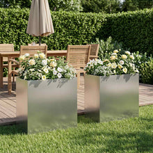 Plantenbak 2 st zilver 50 x 30 x 40 cm Roestvrij staal