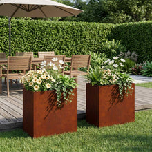 Plantenbak 2 st Roestkleurig 50 x 30 x 40 cm weervast staal