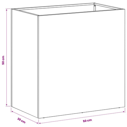 Plantenbak Zwart 50 x 30 x 50 cm Koudgewalst staal