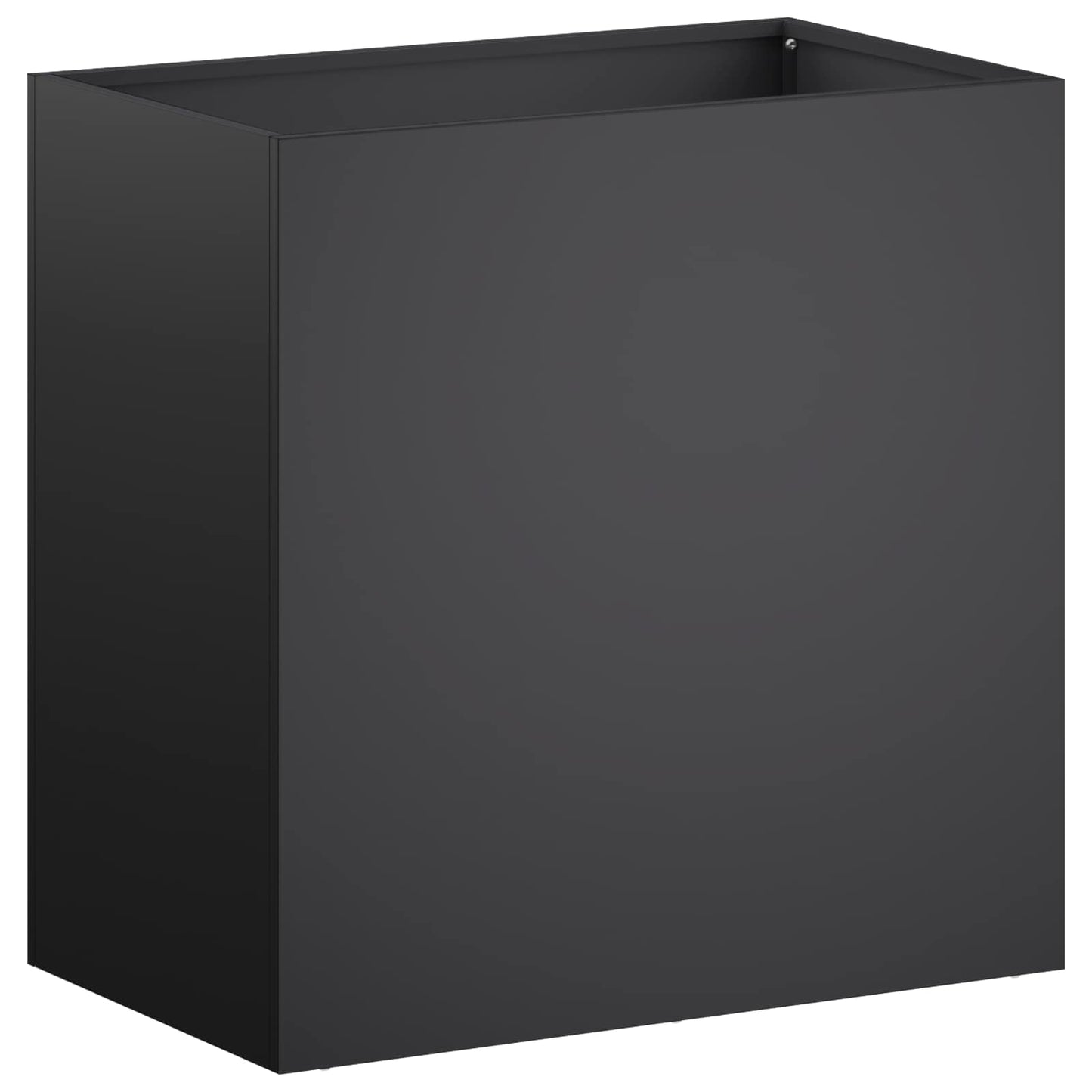 Plantenbak 2 st Zwart 50 x 30 x 50 cm Koudgewalst staal