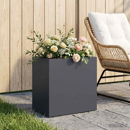 Plantenbak Antraciet 50 x 30 x 50 cm Koudgewalst staal