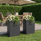 Plantenbak 2 st 50x30x75 cm koudgewalst staal