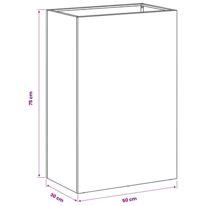 Plantenbak 2 st Zwart 50 x 30 x 75 cm Koudgewalst staal
