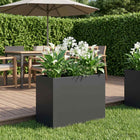 Plantenbak 60x30x40 cm koudgewalst staal