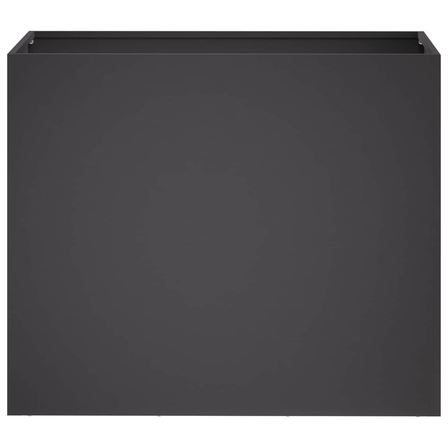 Plantenbak Zwart 60 x 30 x 40 cm Koudgewalst staal