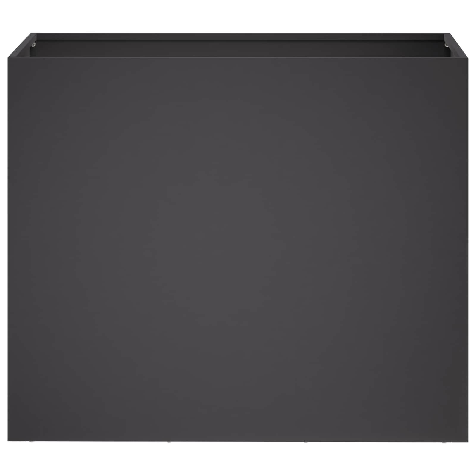 Plantenbak Zwart 60 x 30 x 40 cm Koudgewalst staal