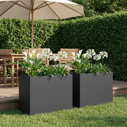 Plantenbak 2 st Zwart 60 x 30 x 40 cm Koudgewalst staal
