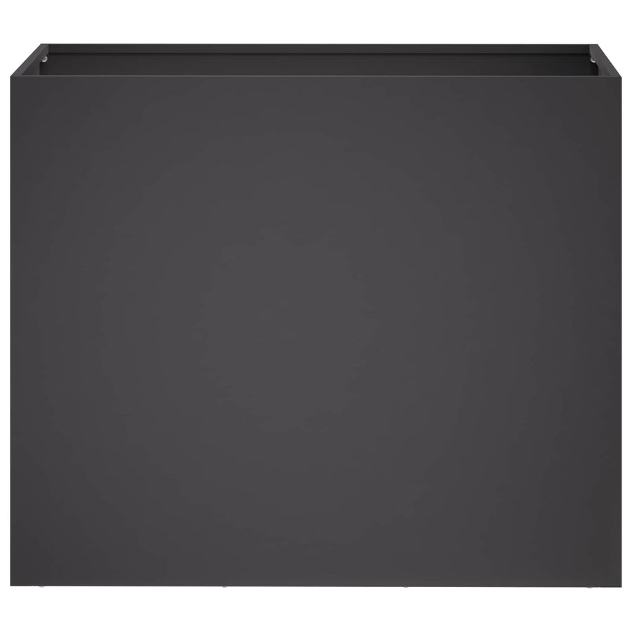 Plantenbak 2 st Zwart 60 x 30 x 40 cm Koudgewalst staal