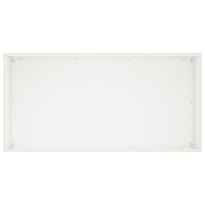 Plantenbak Wit 60 x 30 x 40 cm Koudgewalst staal