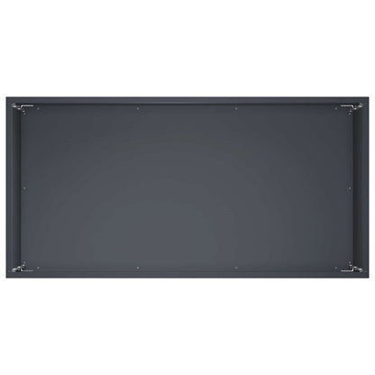Plantenbak Antraciet 60 x 30 x 40 cm Koudgewalst staal