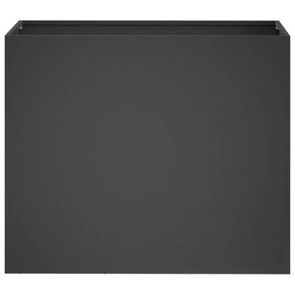 Plantenbak Zwart 60 x 30 x 50 cm Koudgewalst staal